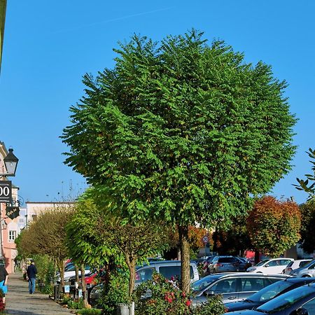 Ferienwohnung Tittmoning Zwischen Salzburg, Burghausen Und Oesterreich Экстерьер фото